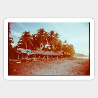 Carribean Beach With Palm Trees Shot on Film Sticker